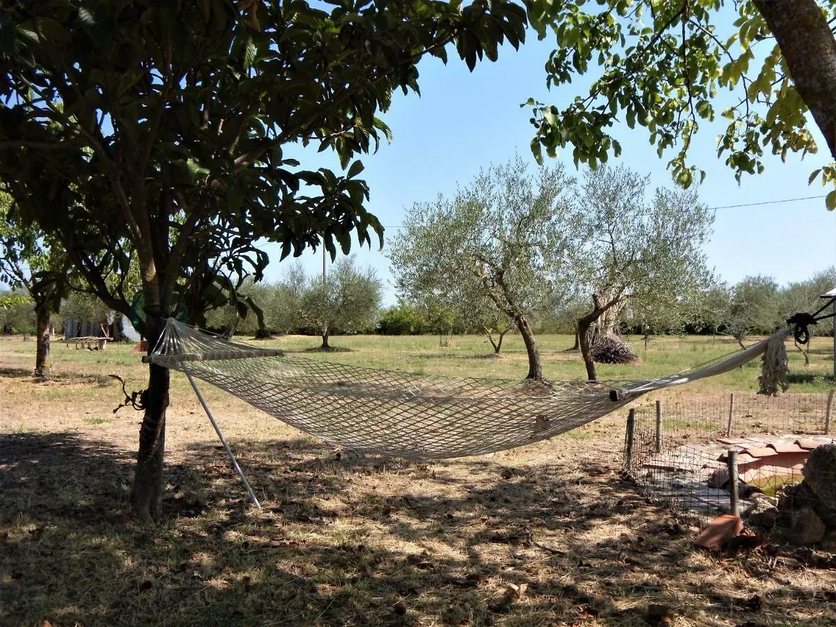 Podere San Guglielmo Guest House Sarteano