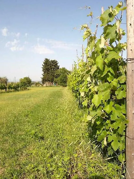 Podere San Guglielmo Guest House Sarteano Country house