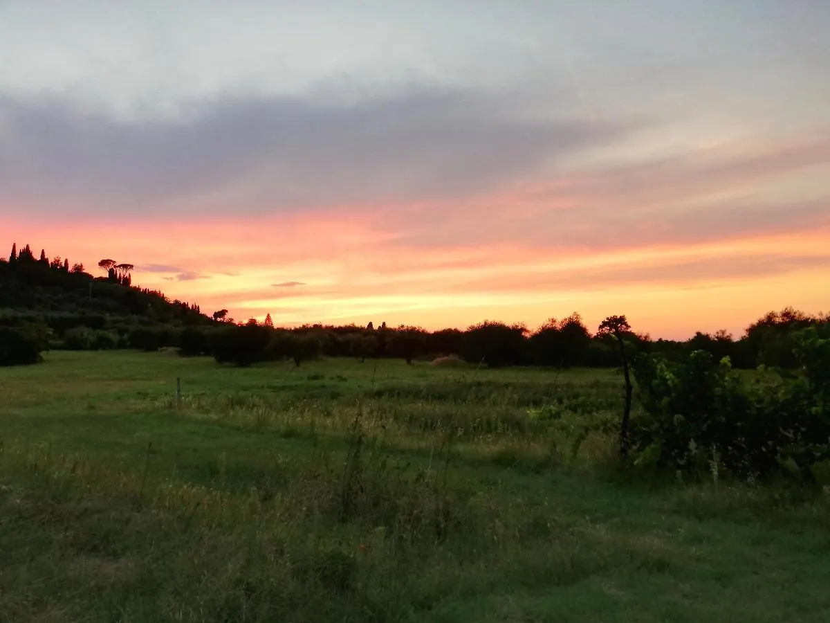 Podere San Guglielmo Guest House Sarteano Country house